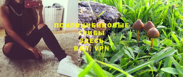 каннабис Медвежьегорск