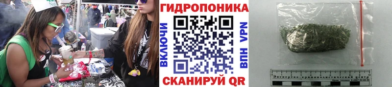 Канабис план мега как зайти Инсар